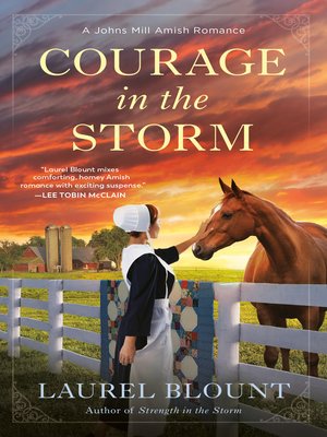 cover image of Courage in the Storm